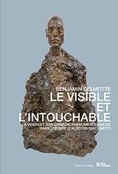 Benjamin Delmotte - Le visible et l'intouchable